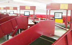 某快遞物流中心交叉帶分揀項目