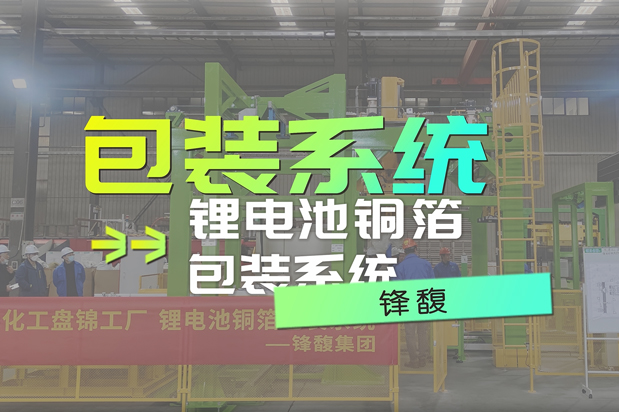 融合視覺與柔性的搬運(yùn)系統(tǒng)