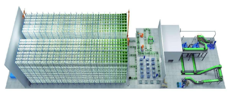 全球領工業(yè)化立體垂直農場，實現(xiàn)節(jié)能降耗