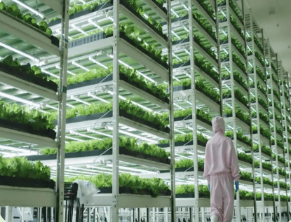 全球領工業(yè)化立體垂直農(nóng)場，實現(xiàn)節(jié)能降耗