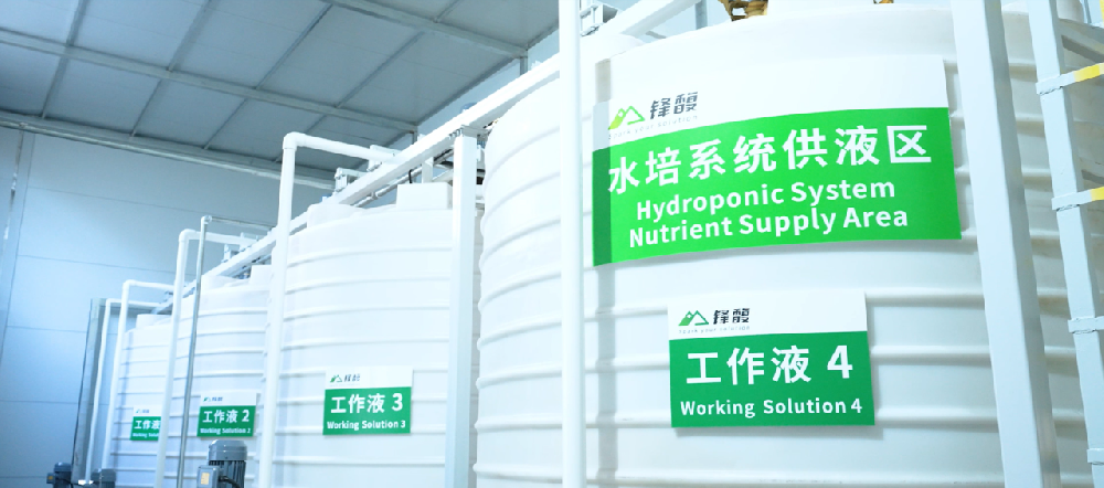 鋒馥：以科技賦能企業(yè)綠色轉(zhuǎn)型，共創(chuàng)可持續(xù)未來(lái)